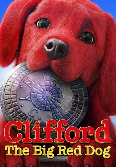 BEST IPTV SERVICE 51 f7